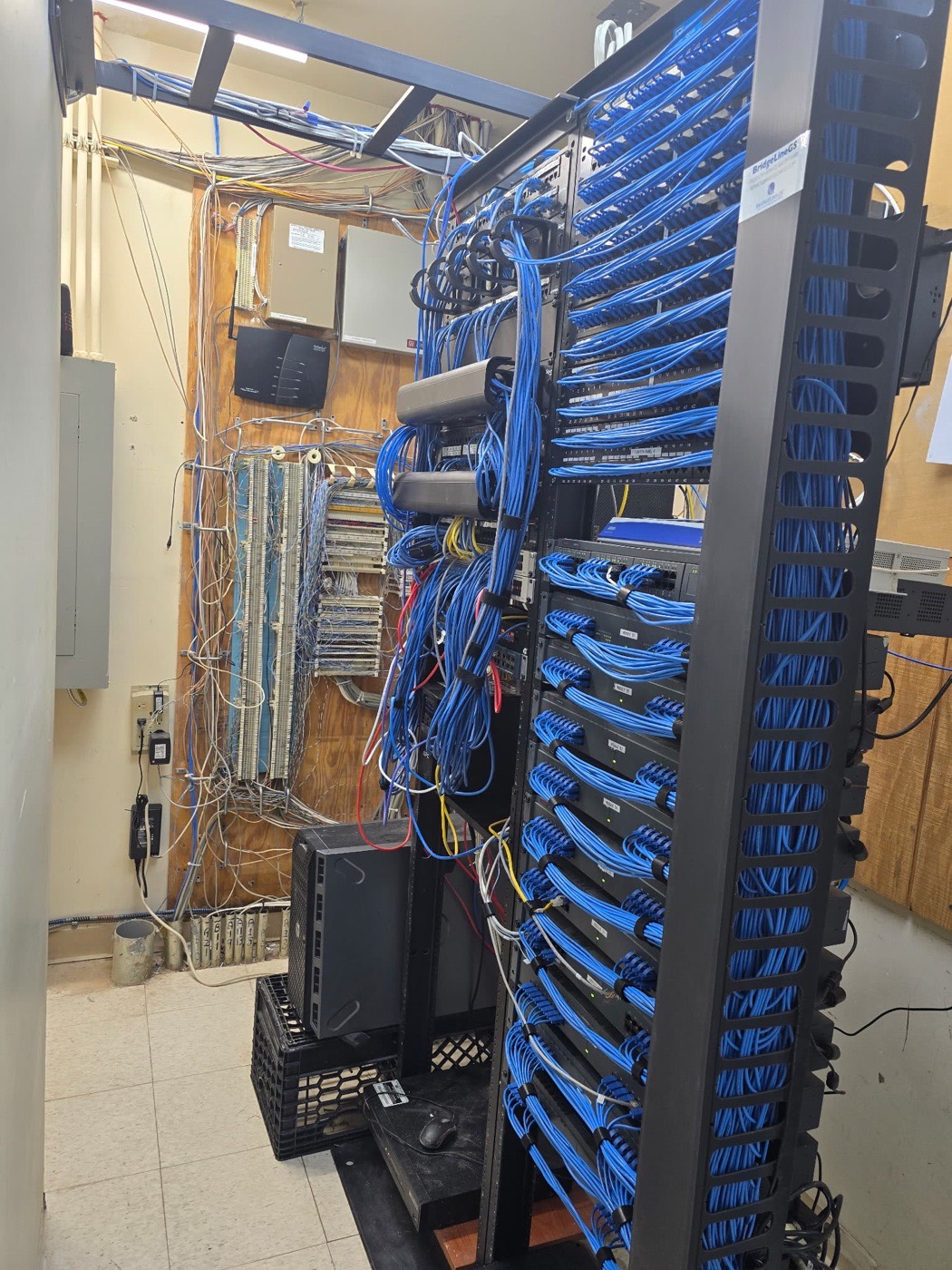 Full rack of neatly dressed blue patch cable harnesses